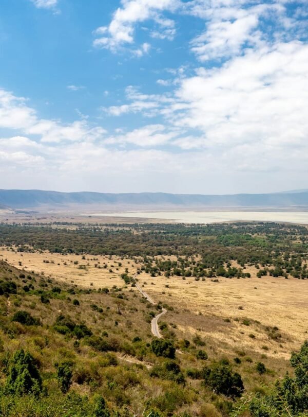 Ngorongoro Conservation Area