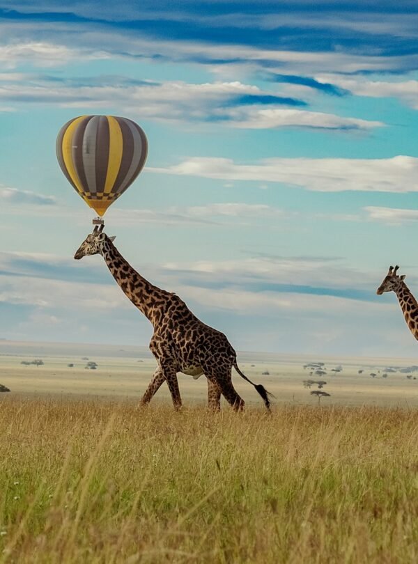 tanzania-wild-sky