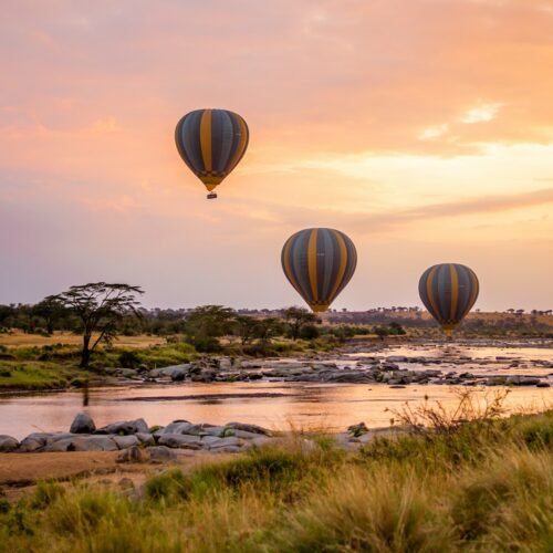 tanzania-wild