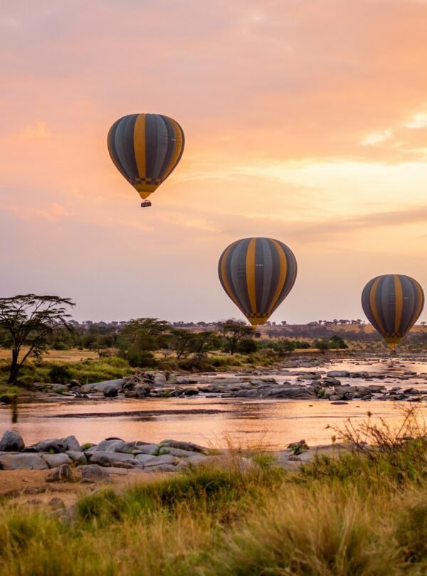tanzania-wild